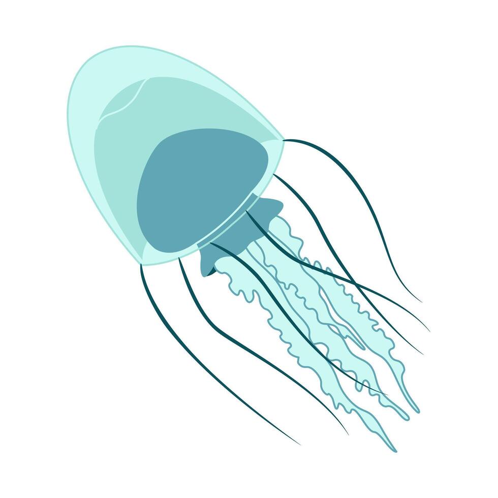 Cartoon jellyfish flat style. Medusa vector illustration. Modern flat illustration Jellyfish isolated on white background. Vector illustration