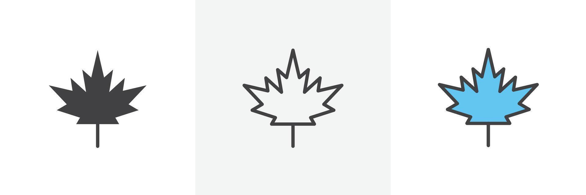 Autumn leaf canadian icon vector