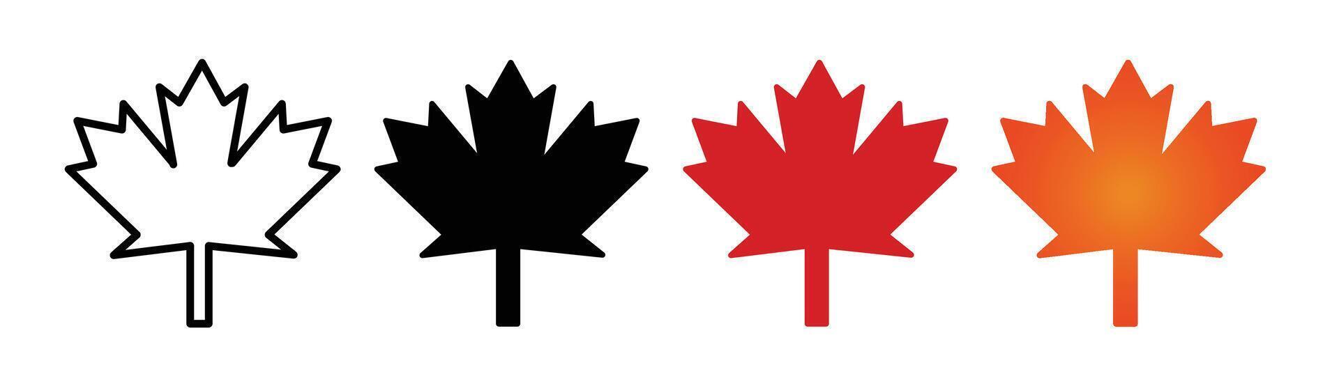 Autumn leaf canadian icon vector