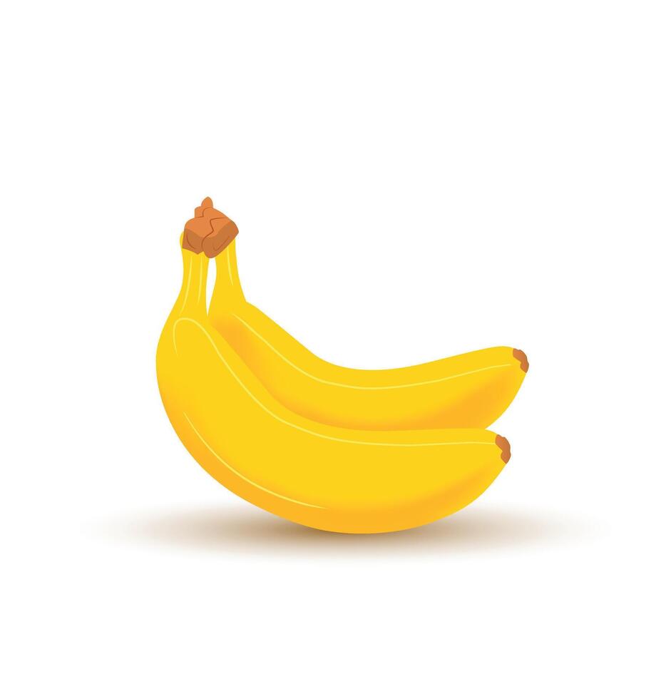 two banana fruit vector