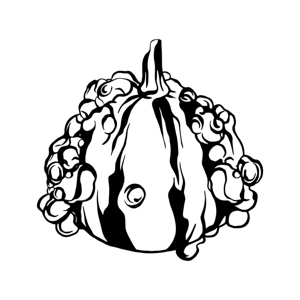 Hand drawn pumpkin drawing vector