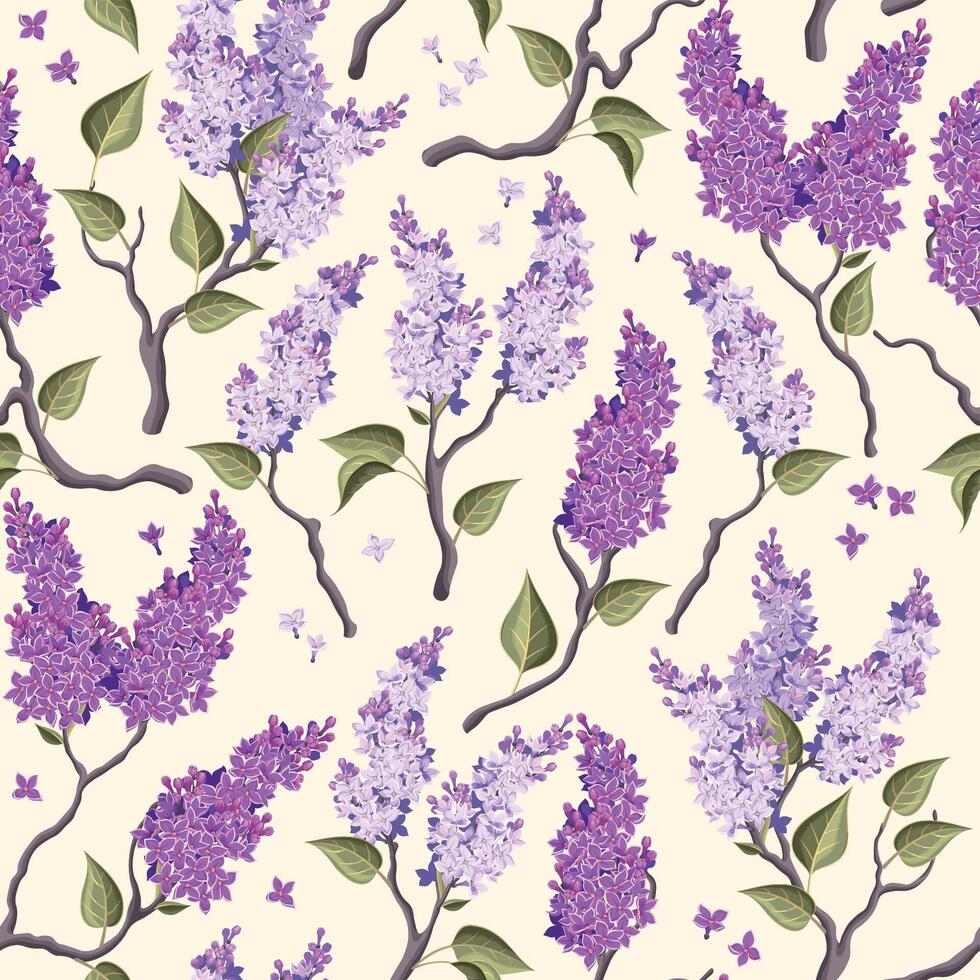 Seamless background with lilac flowers. Vector illustration. Isolated on white background.