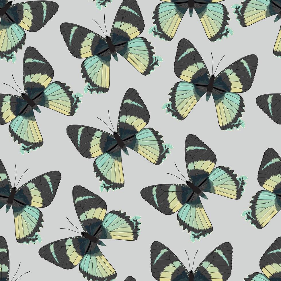 Vector seamless pattern with high detailed tropic butterfly