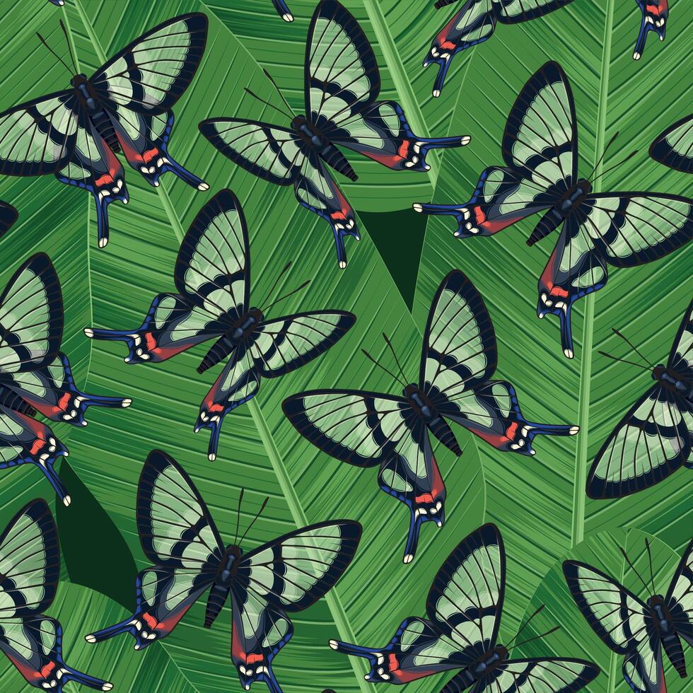 Vector seamless pattern with high detailed tropic butterfly