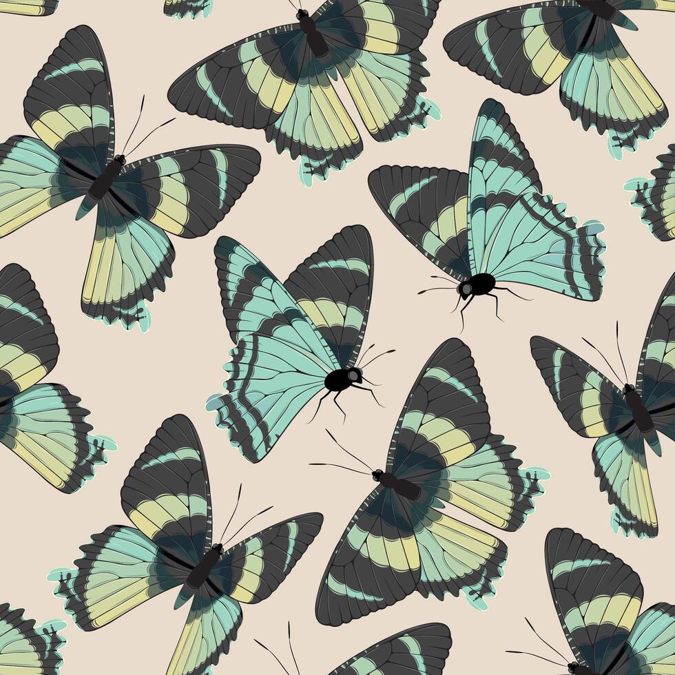 Vector seamless pattern with high detailed tropic butterfly