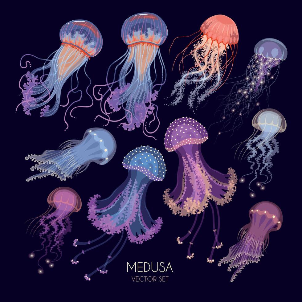 Big vector set of glowing transparent jellyfish isolated on black background
