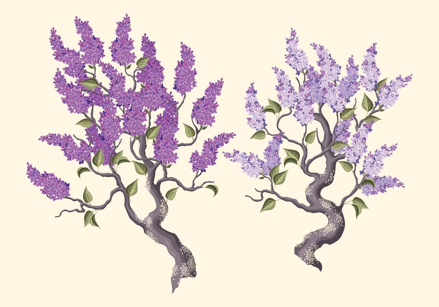 Set of high detailed blooming lilac branches isolated on white background vector