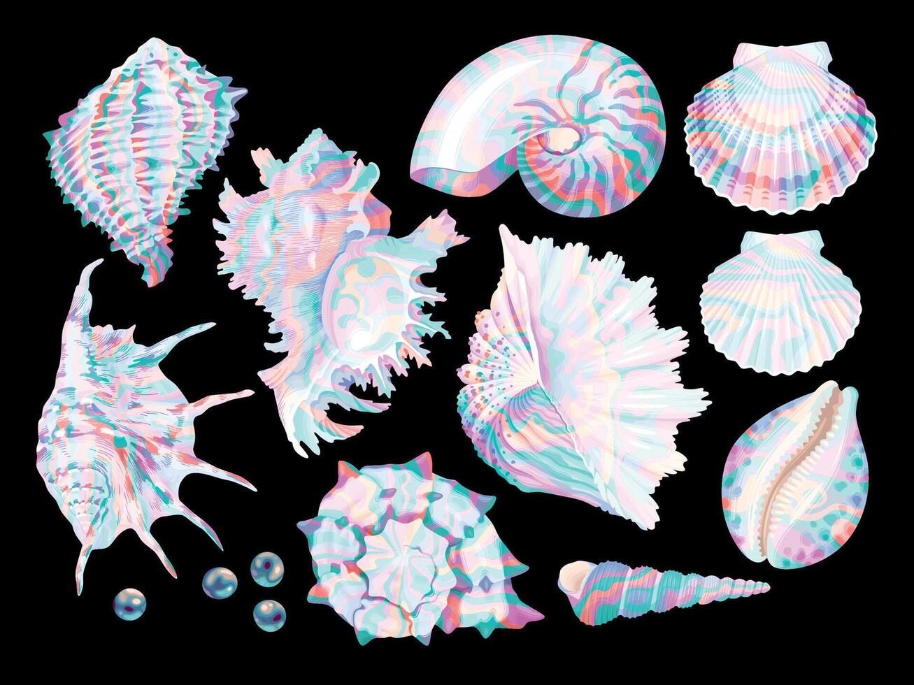 Big vector set of high detailed sea shells isolated on black background