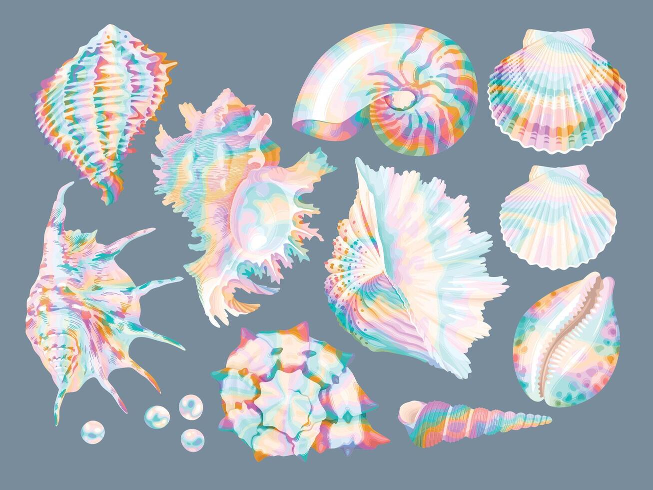 Big vector set of high detailed sea shells isolated on neutral background