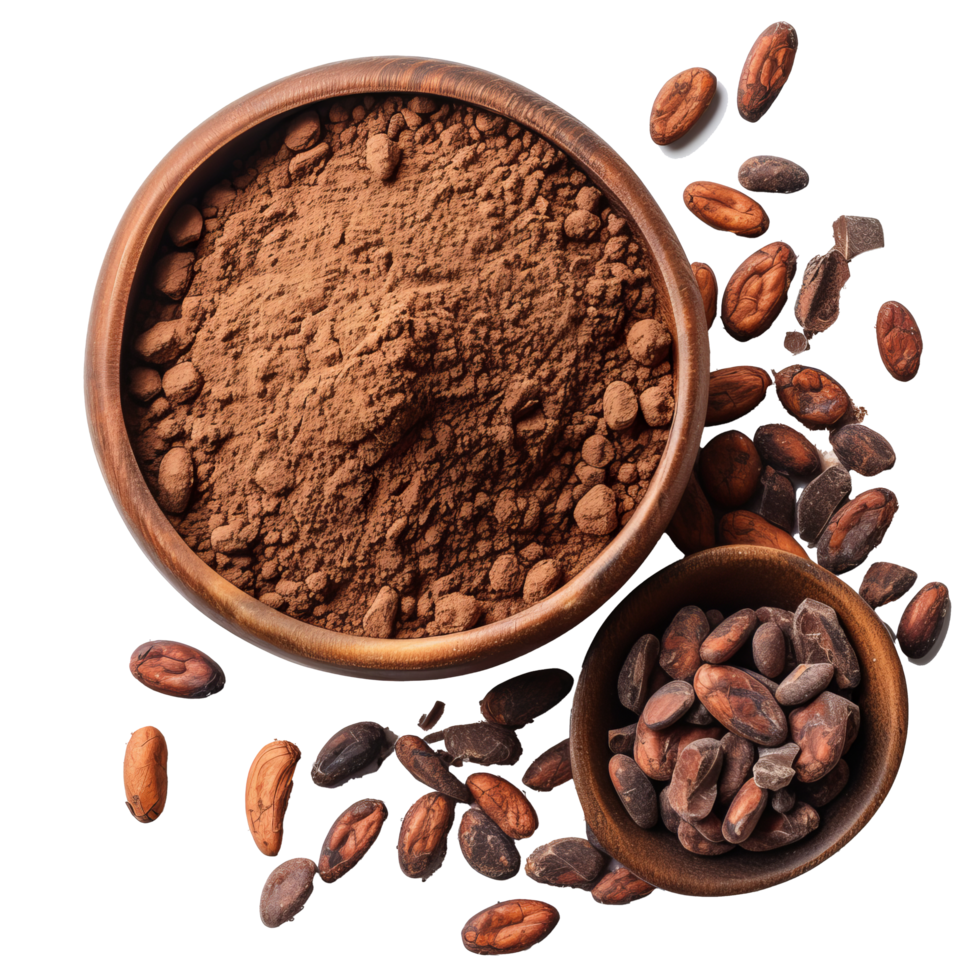 Cacao powder with beans isolated on transparent background With clipping path.3d render png