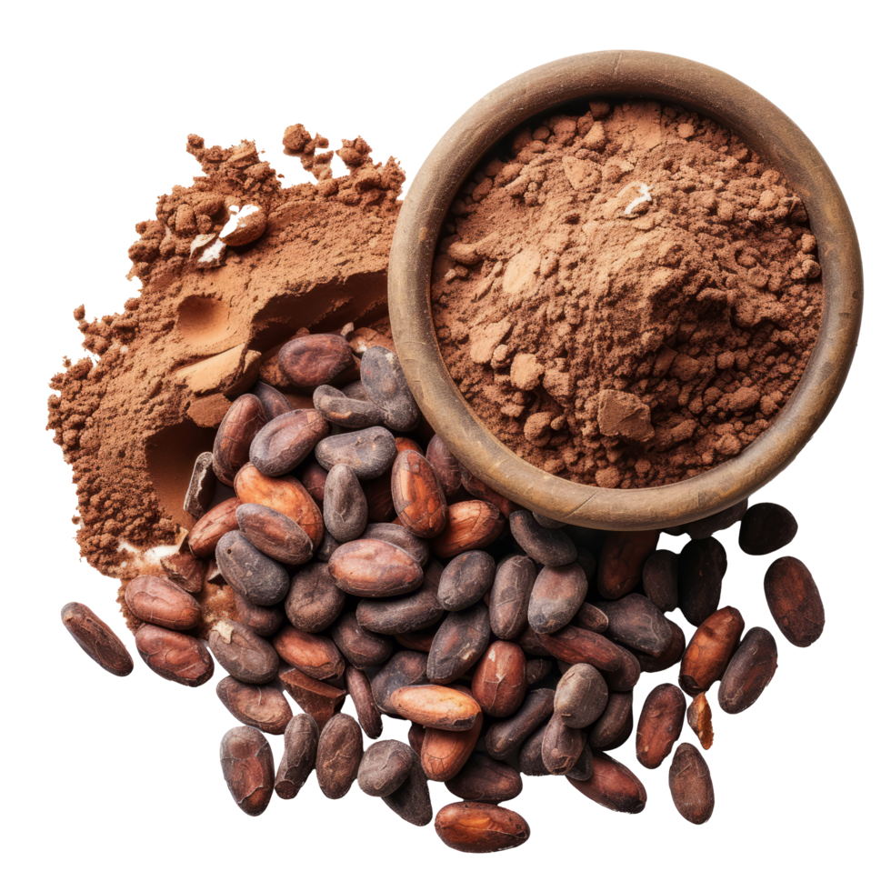 Cacao powder with beans isolated on transparent background With clipping path.3d render png