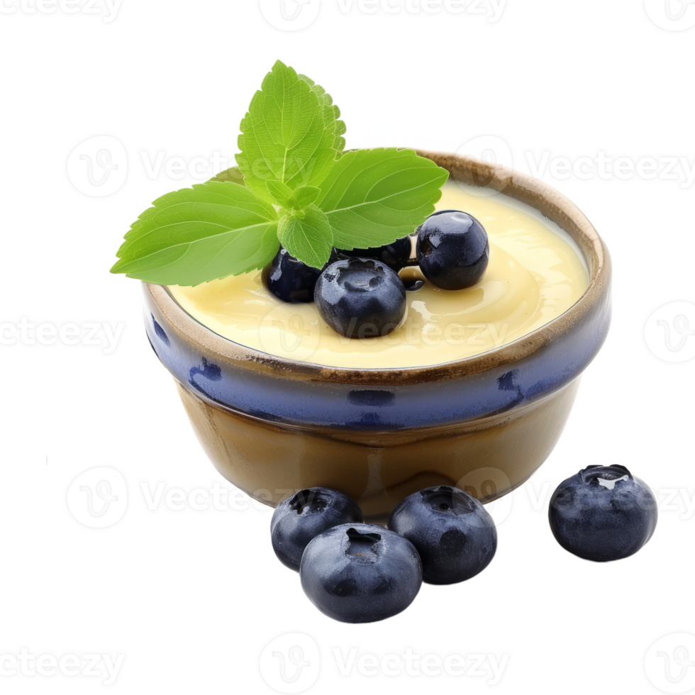 AI generated Bowl of tasty vanilla pudding with blueberry isolated on transparent background With clipping path.3d rendering png
