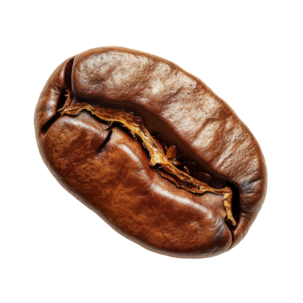 Coffee bean isolated on transparent background With clipping path.3d render png