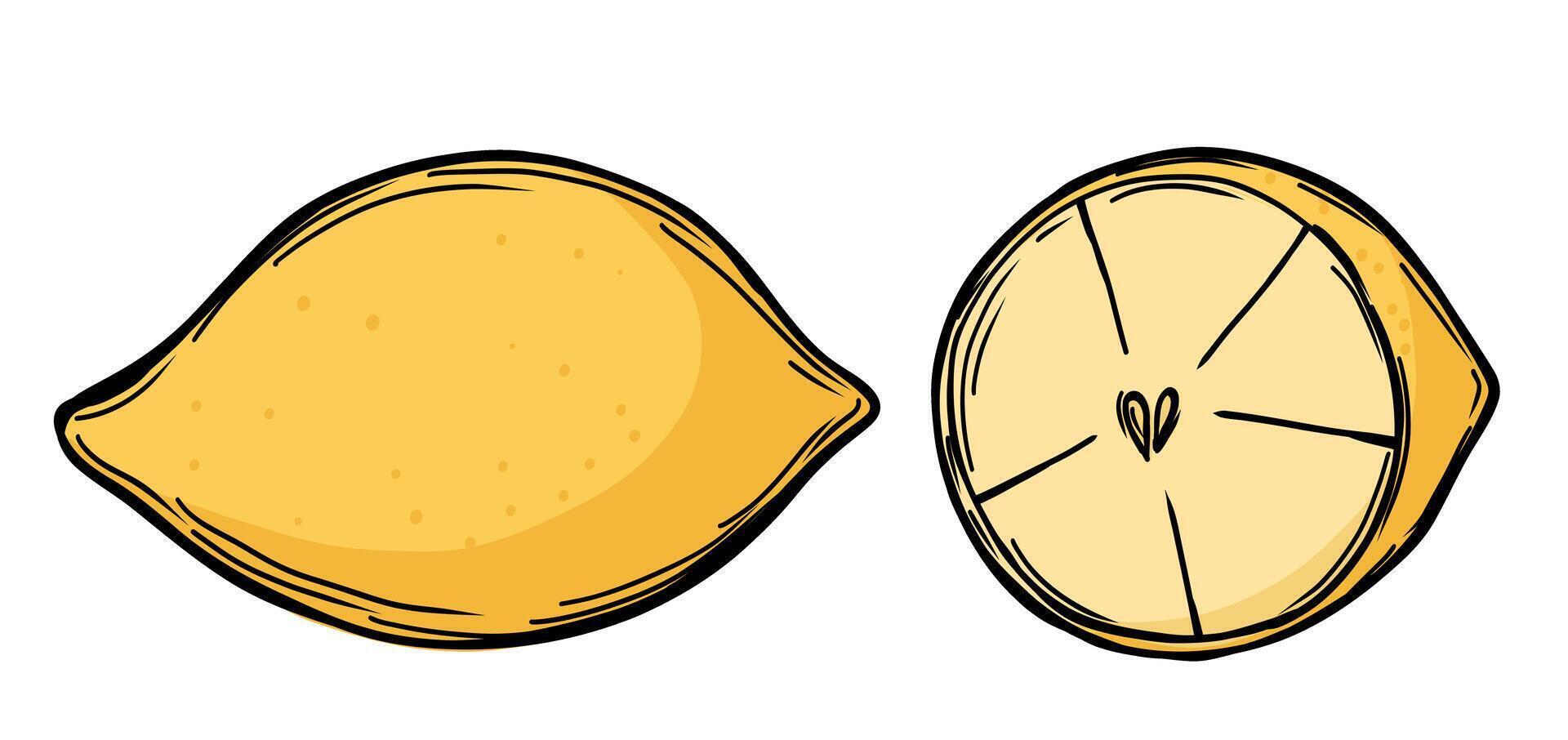 Lemon fruit in doodle style vector