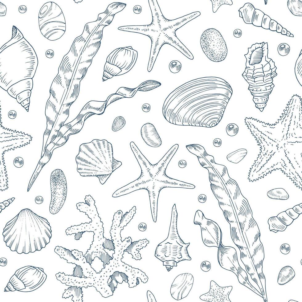 Sea Vector seamless Pattern. Outline illustration of seashell and starfish Background. Black and white line art. Hand drawn graphic sketch of coral and algae. Linear print drawing