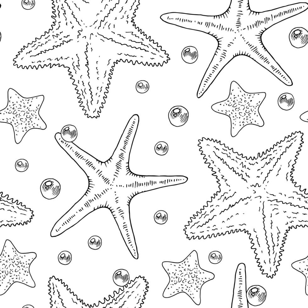 Starfish Vector seamless Pattern. Outline illustration of sea star Background. Black and white line art. Hand drawn graphic sketch. Linear print drawing for wrapping paper and fabric
