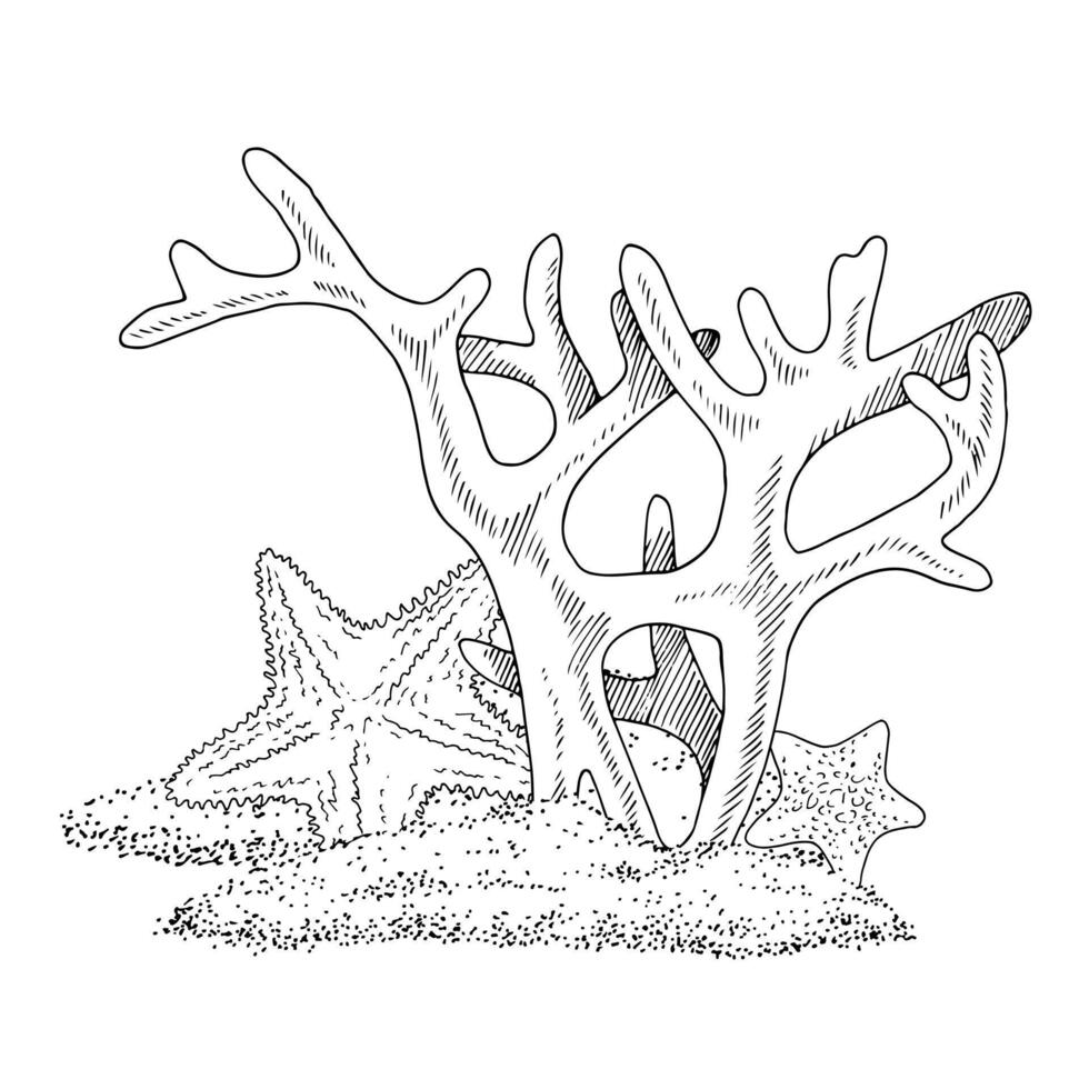 Sea sketch Vector line art. Outline Coral reef with starfish. Hand drawn black and white clipart. Linear drawing of underwater beach. Ocean bottom illustration. Graphic nautical print