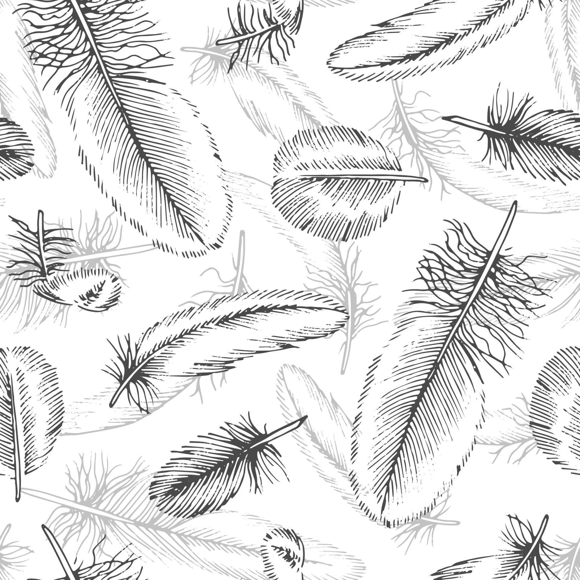 Feather Vector seamless Pattern. Outline illustration of quills background. Black and white line