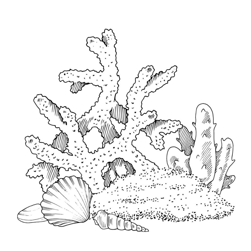 mar impresión vector línea Arte. coral arrecife describir. mano dibujado negro y blanco gráfico clipart. lineal dibujo de submarino playa. concha en el arena ilustración. Oceano vida bosquejo