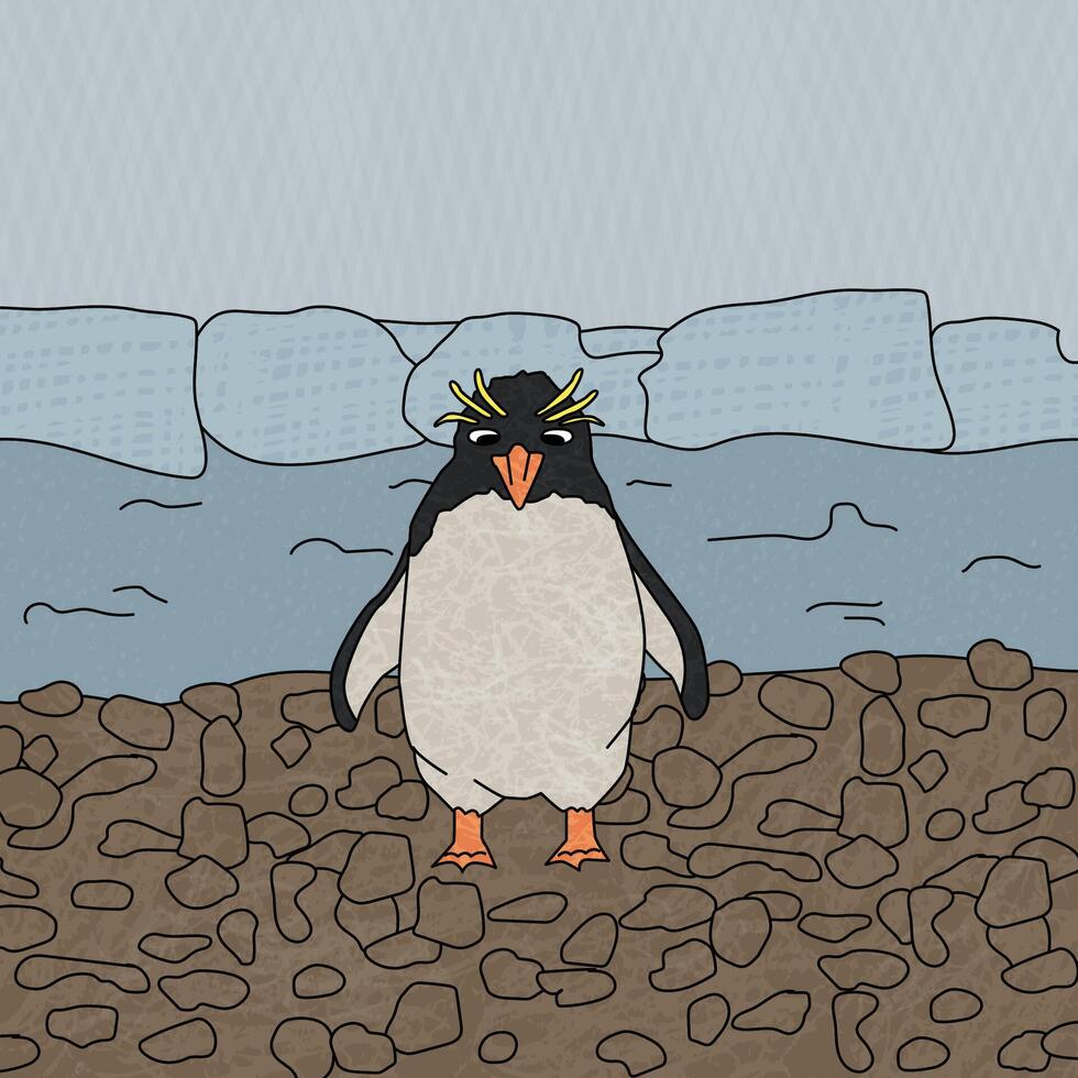Macaroni penguin. Vector cartoon hand drawn illustration of the crested animal in Antarctica. Polar childish bird with textures near icebergs and blue ocean on the brown beach