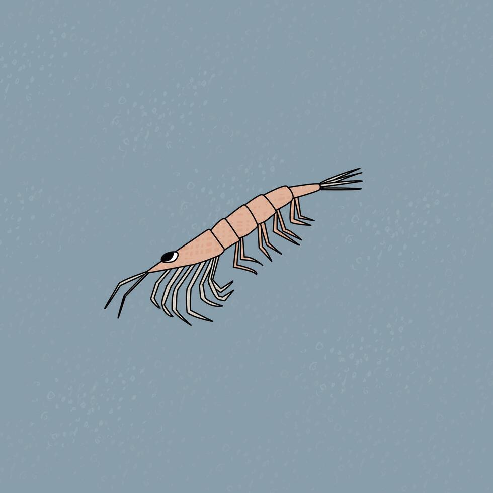 Antarctic krill. Hand drawn outline sketch cartoon animal of Antarctica. Polar textured illustration vector