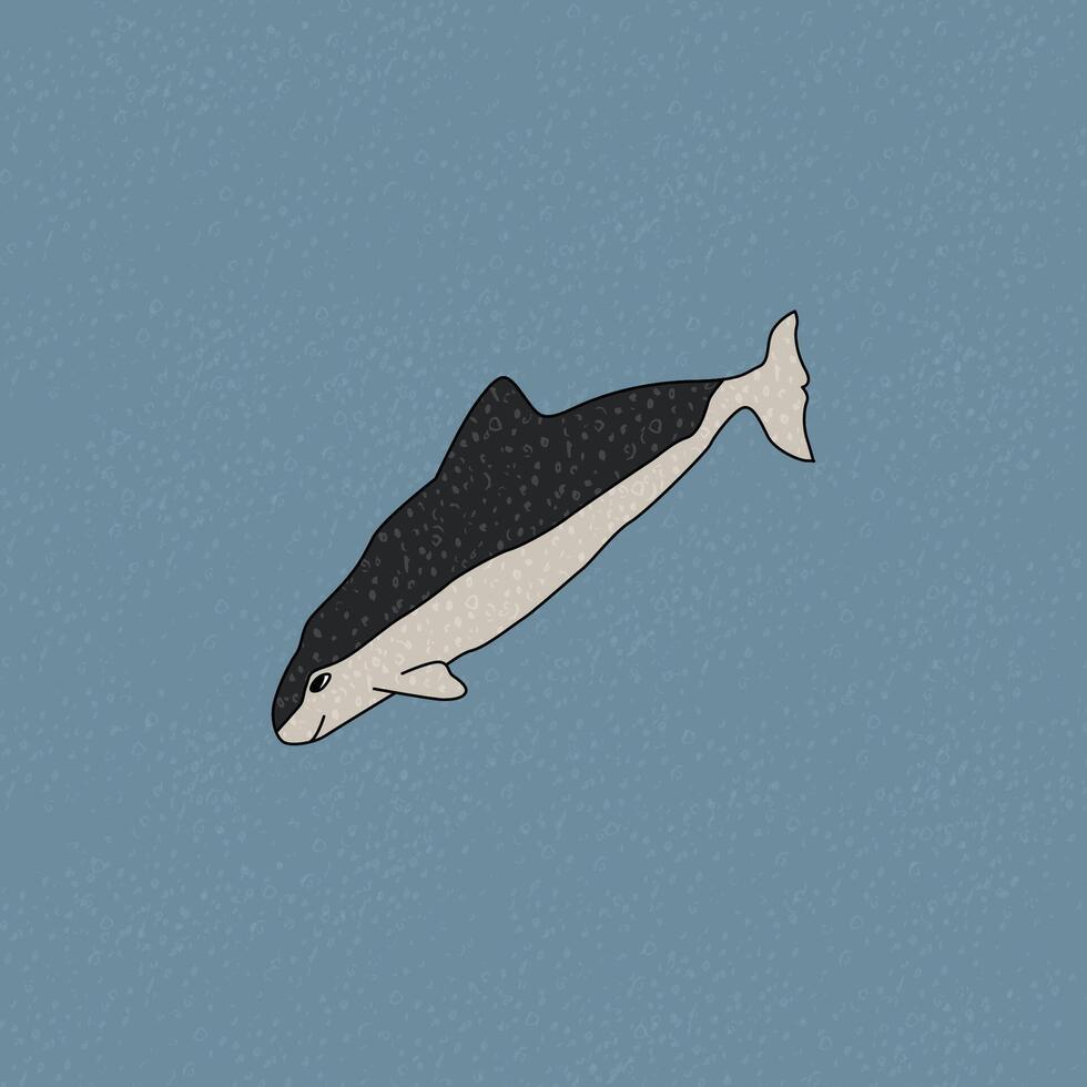 Spectacled porpoise. Vector hand drawn cartoon childish illustration on the blue background. Polar animal in Antarctica with textures
