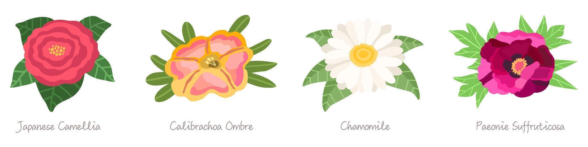 un colección de brillante vistoso flores en plano estilo. decorativo flor conjunto adecuado para invitación y saludo tarjetas floral vector elementos para huellas dactilares y web.