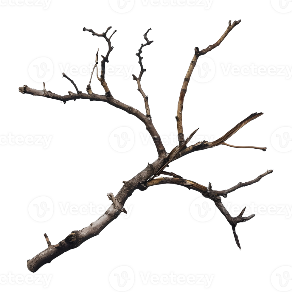 AI generated Dead branch AI generated png