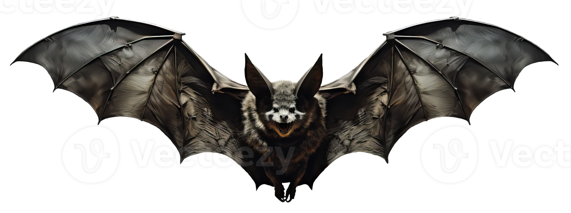 AI generated Bat in flight. Wing flap. Isolated transparent background png