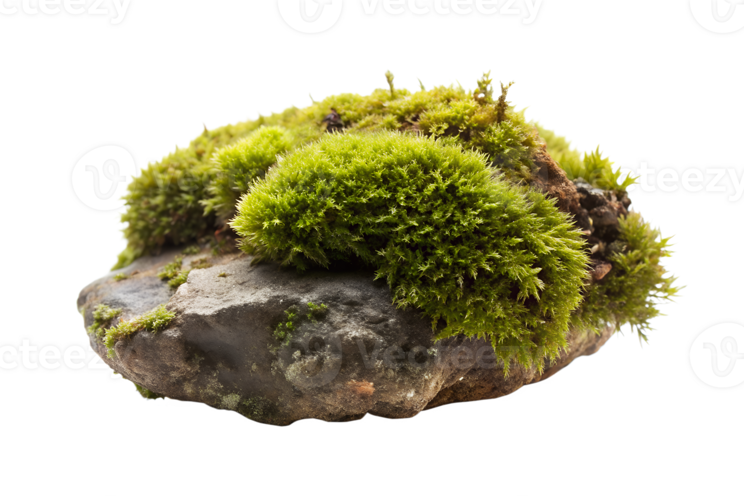 AI generated moss on the log isolated on white background png