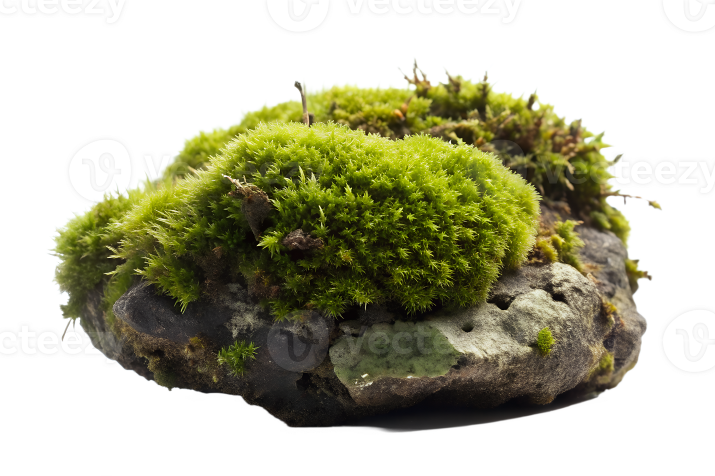 AI generated moss on the log isolated on transparent background png