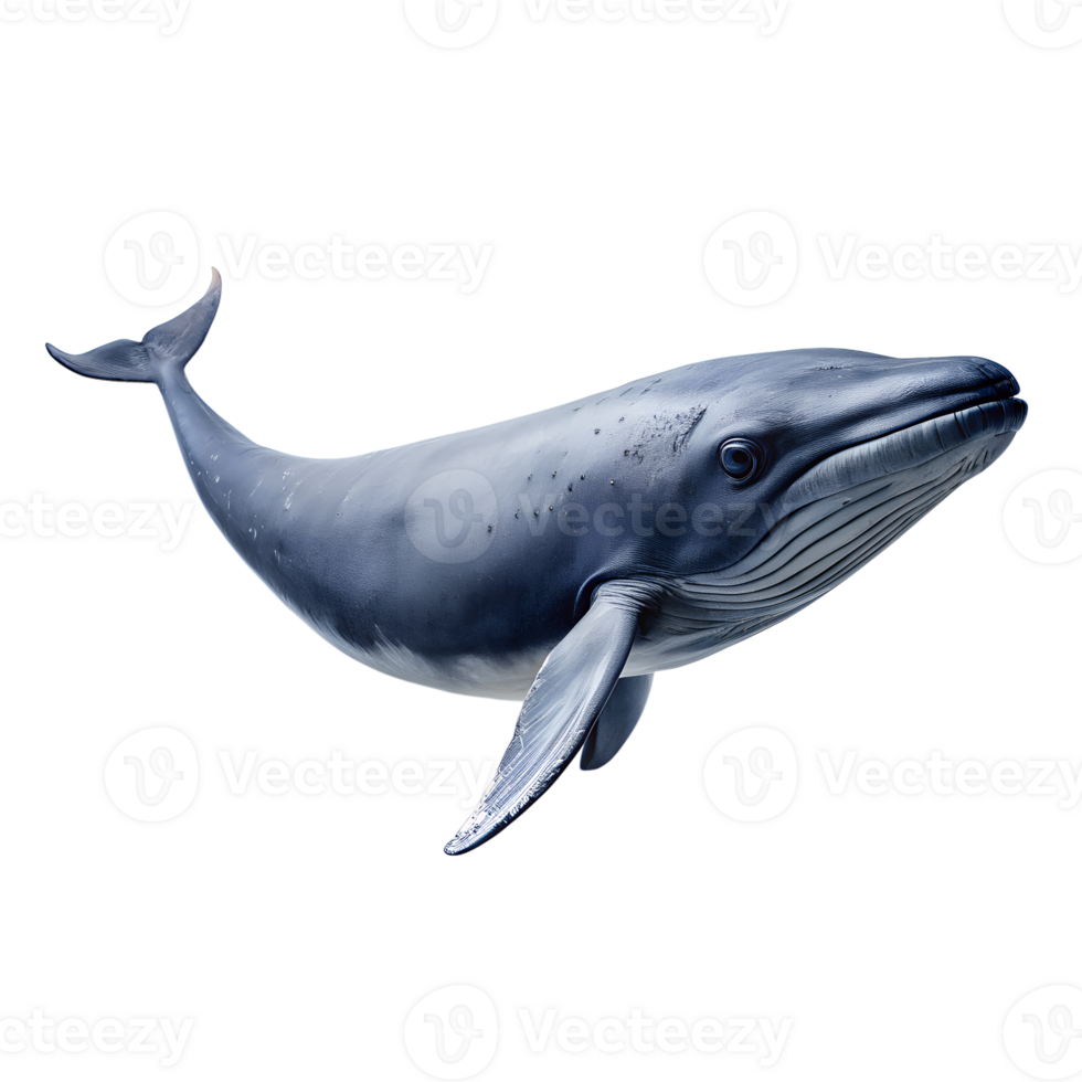 ai generado ballena en transparente antecedentes png