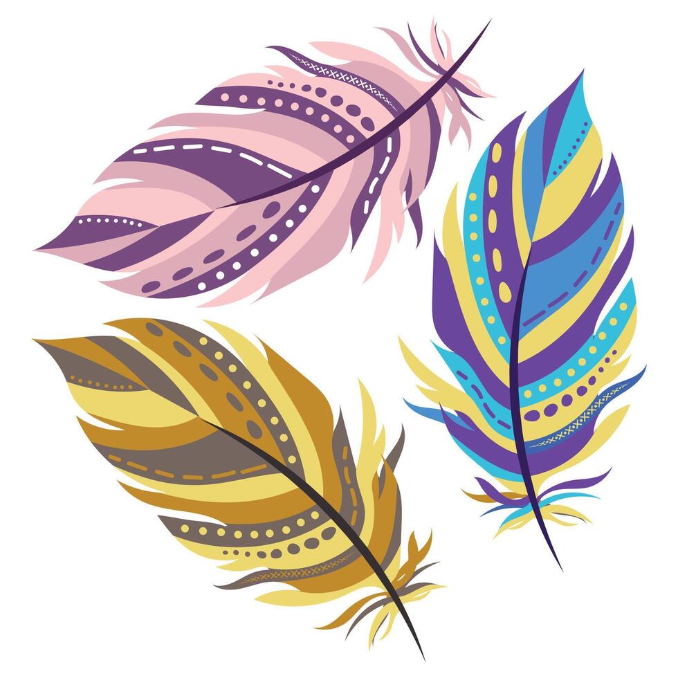 Colorful Bird feather and decoration concept feathers flat item set vector