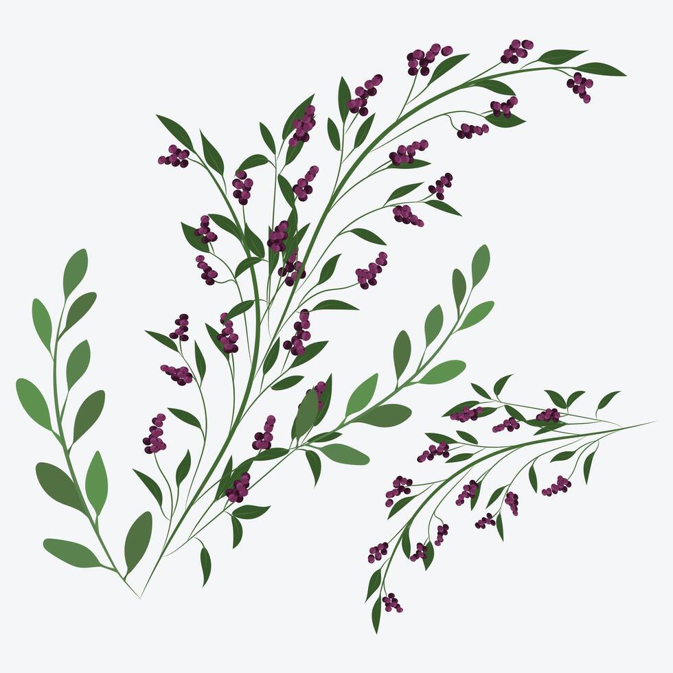 Green Leaf with white Background Vector 42145614 Vector Art at Vecteezy