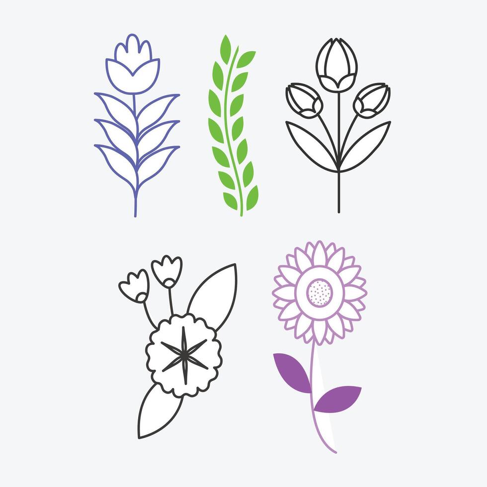 A collection of flowers and leaves  Natural Elements vector background