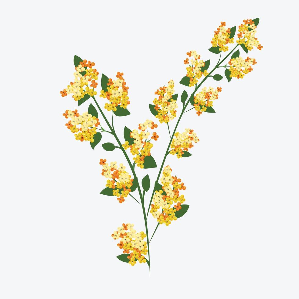 Yellow Flower with leaves and Background Vector