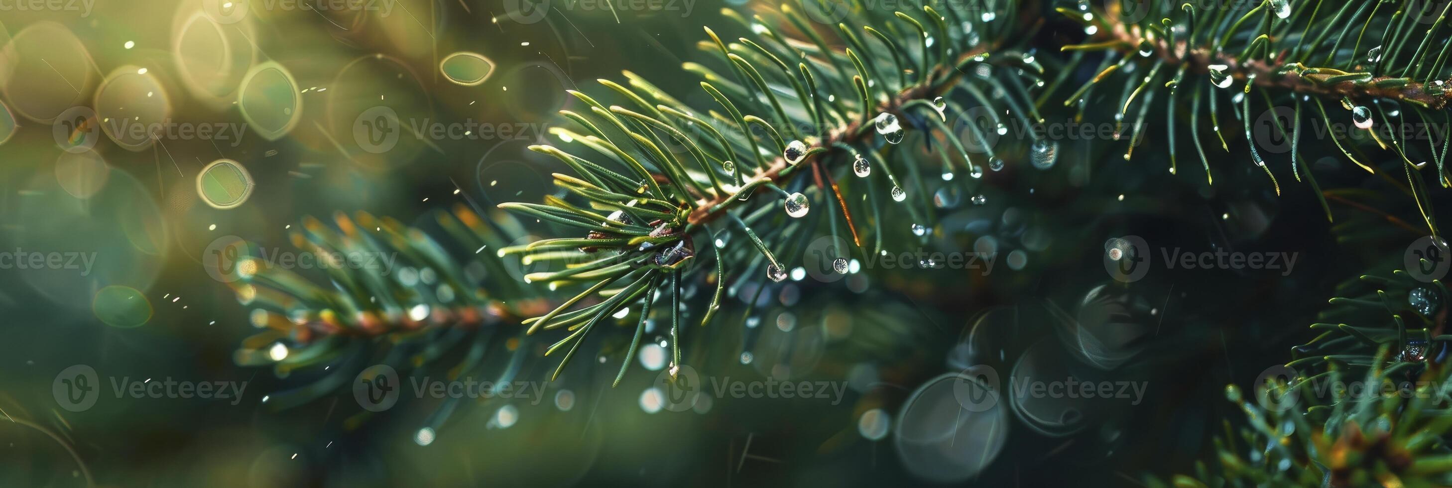 AI generated Raindrops on pine branches with a green background. photo