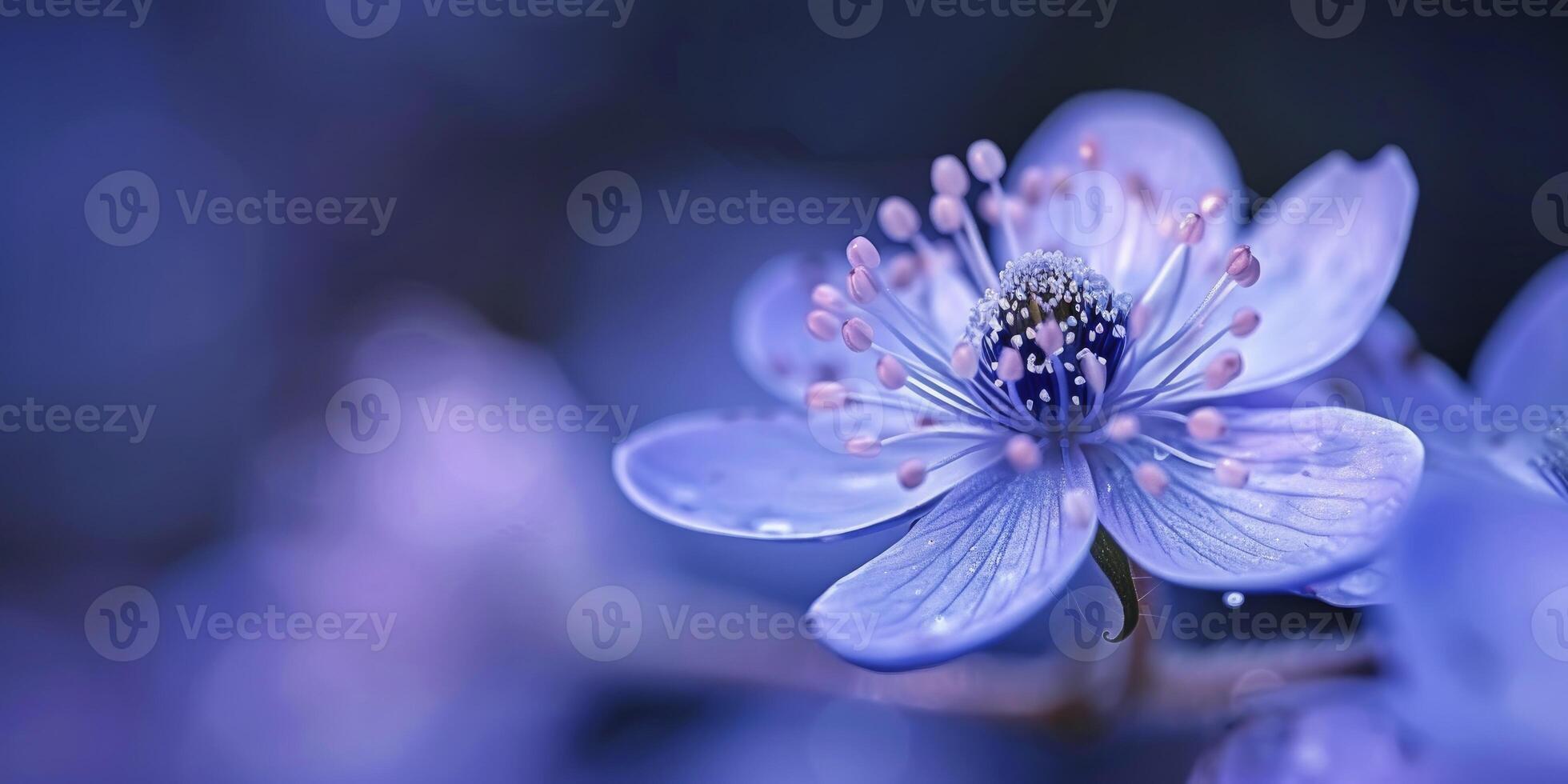 AI generated Macro Beauty. Capturing the Exquisite Details of a Beautiful Flower. photo