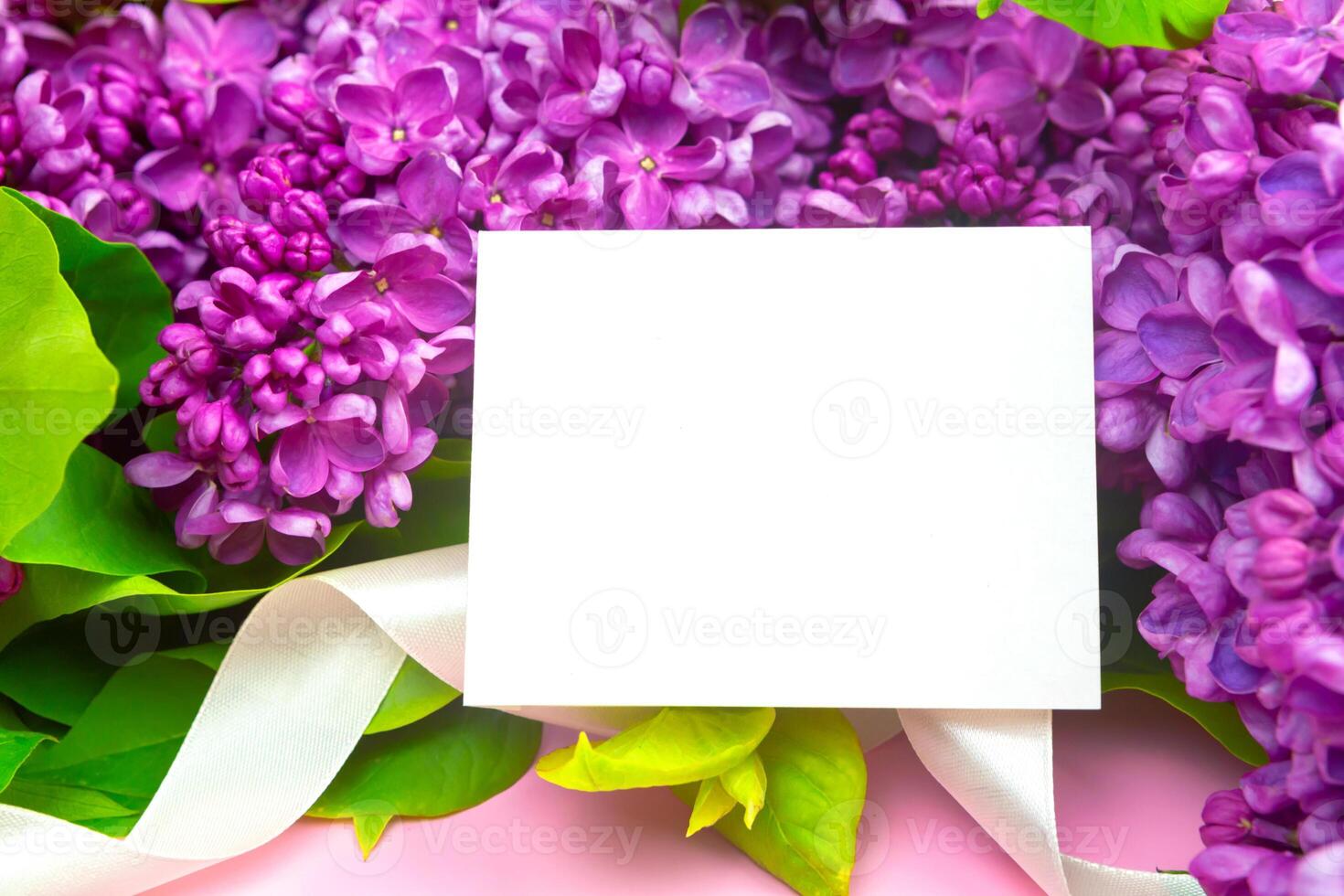 beautiful dark purple fresh lilac on the pink background, purple background, place for text, top view photo