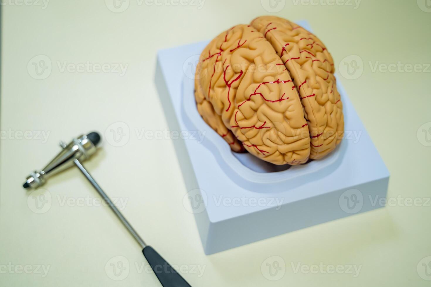 Brain model on the table. Neurosurgery concept. Neurosurgery hummer. . Brain human anatomy. 3d rendering. photo