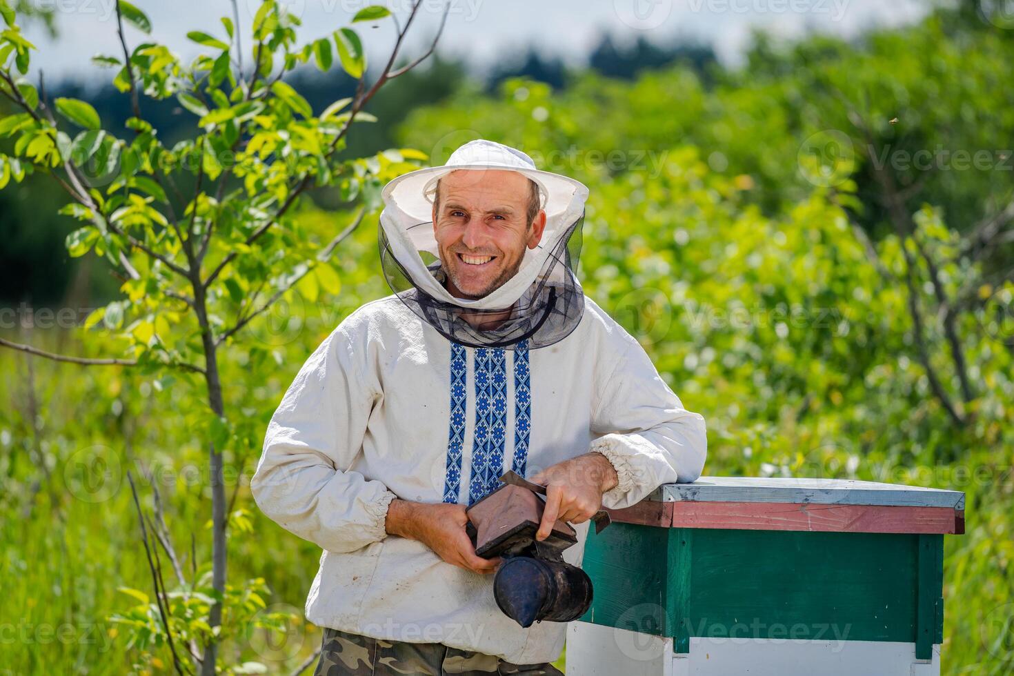 apicultor en protector ropa de trabajo. urticaria antecedentes a colmenar. trabajos en el colmenares en el primavera. foto