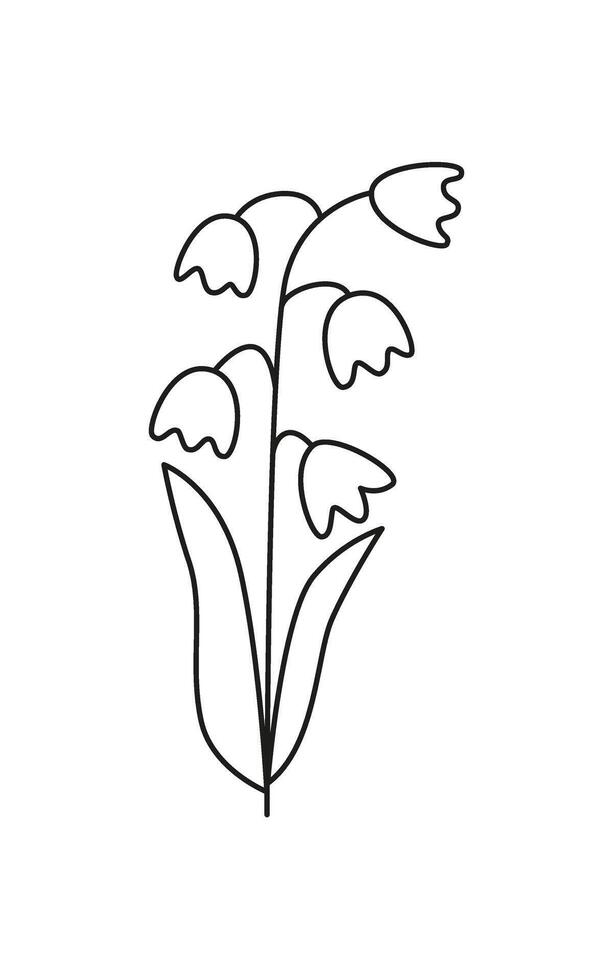 Linear lily of the valley isolated on white. Linear spring flower. Botanical drawing. Great for greeting cards, backgrounds, tattoo. Woman's day, mother's day, wedding. Line art. Coloring book. vector