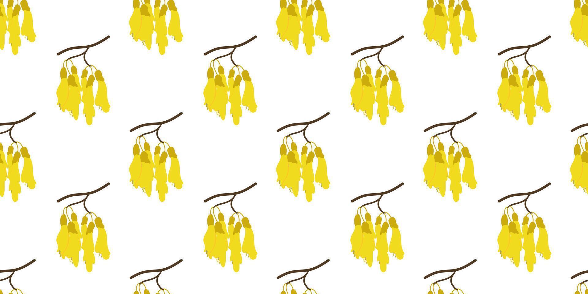 Floral seamless pattern of Kowhai hand drawn flowers on white background vector