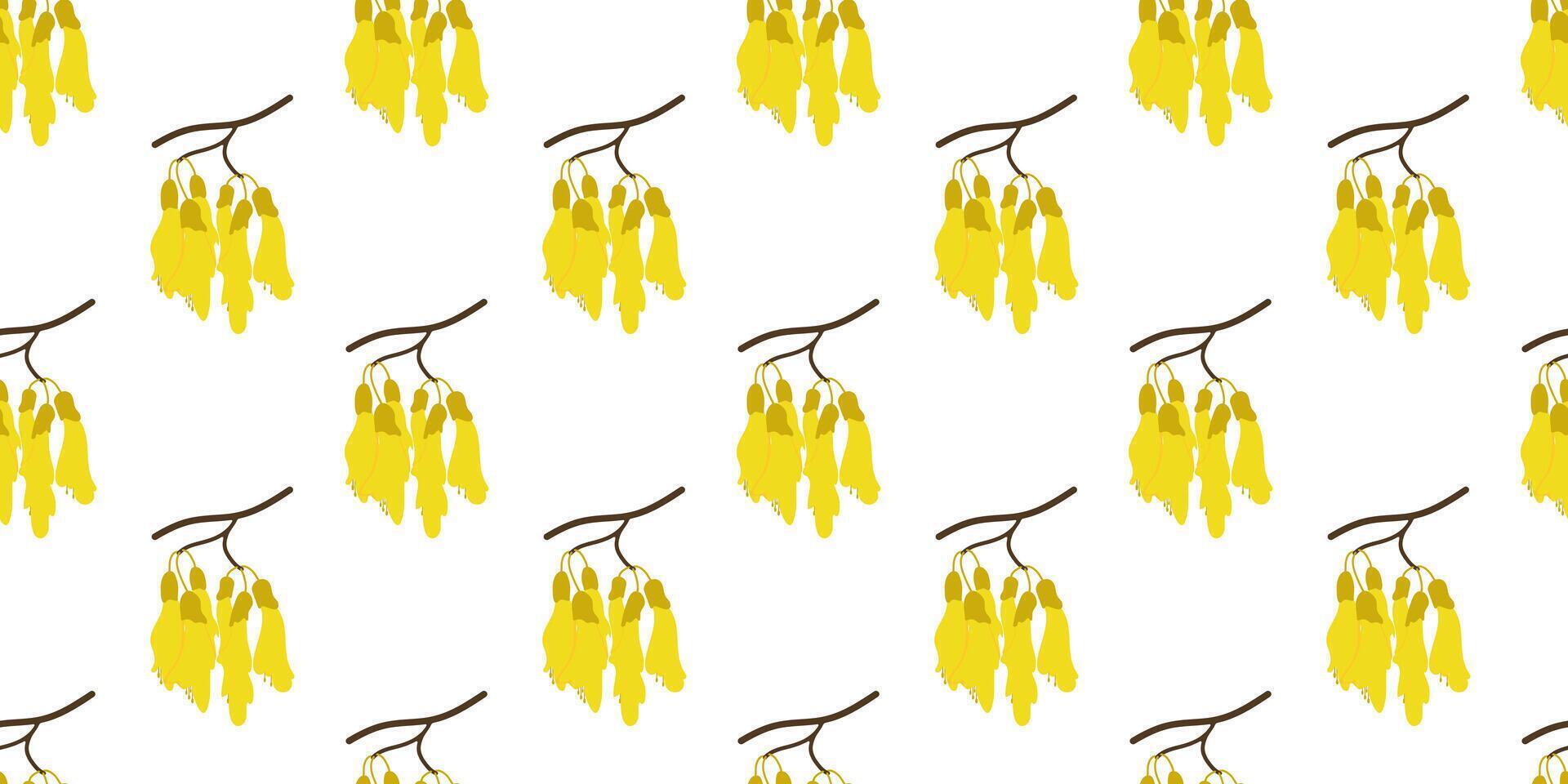 Floral seamless pattern of Kowhai hand drawn flowers on white background vector