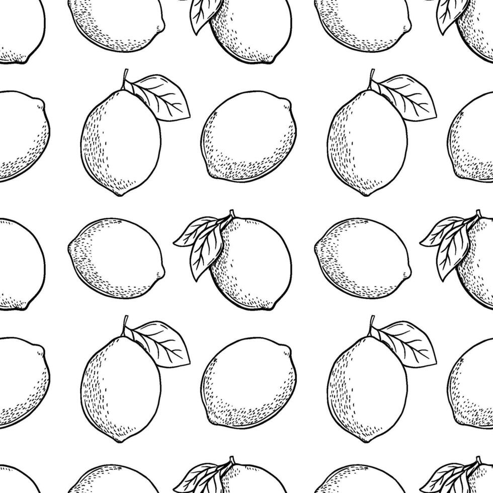 Hand drawn vector monochrome seamless pattern with etching lemon or lime, leaves in engraved style. Vector black and white repeat backdrop
