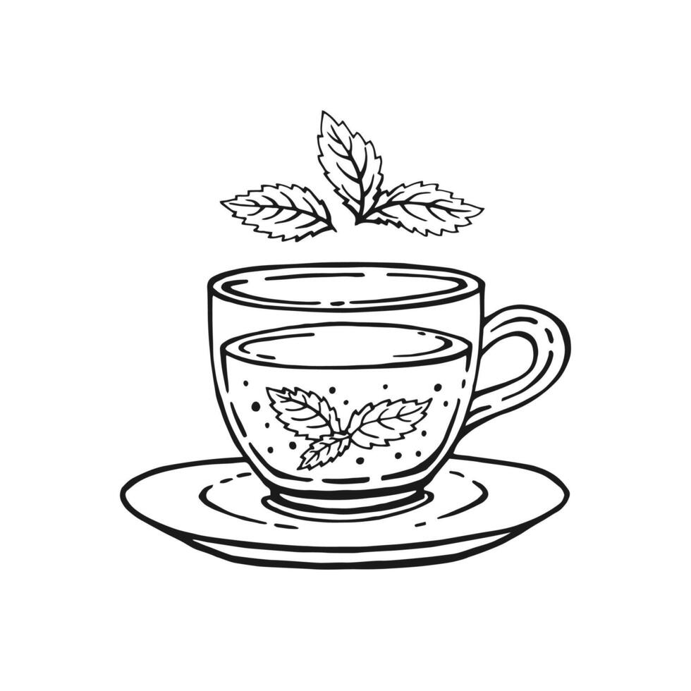 Glass cup tea, mint leaves. Hand drawn vector illustration in outline style.