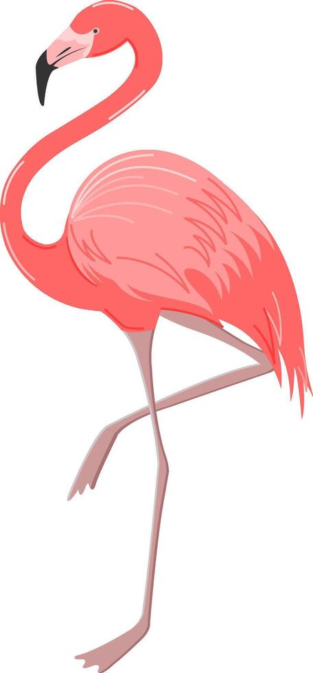 Pink flamingo. Summer time design element. vector