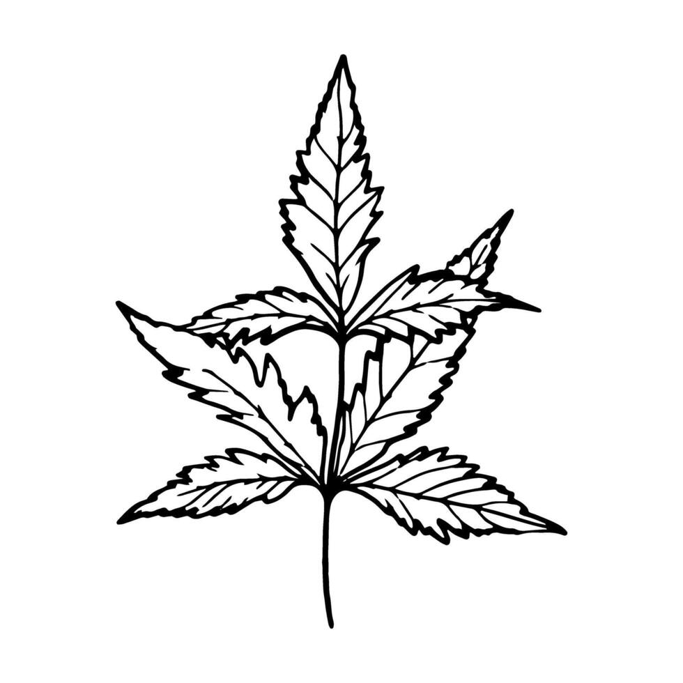 black and white leaf vector