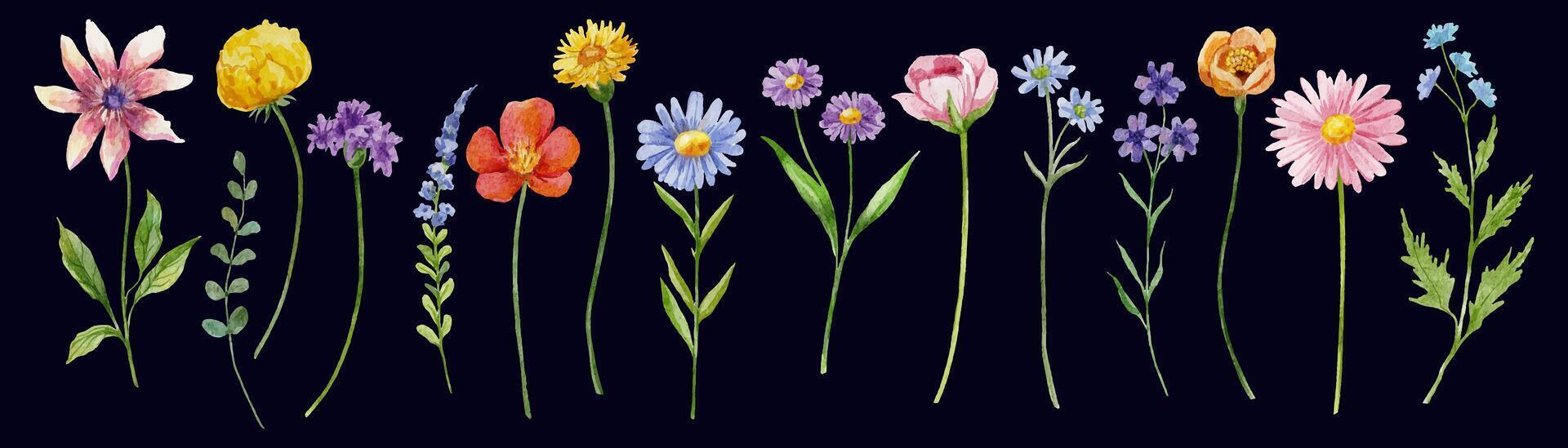 Watercolor spring flowers on dark background. Vector illustration