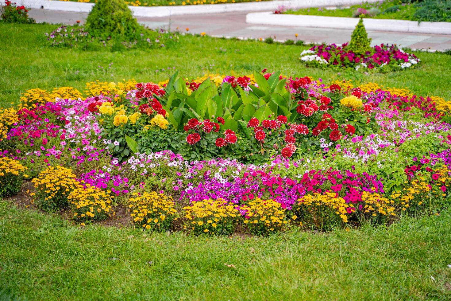 Flowerbed with yellow and red flowers. Landscape design. Colorful flowers. photo